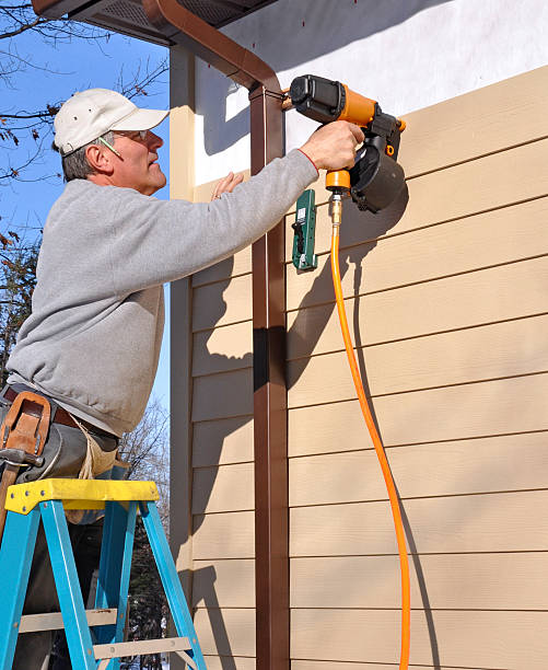 Best Siding Painting and Refinishing  in Mount Olive, NC